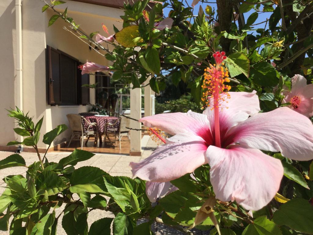 Villa Ro Porto Columbu - Perd'E Sali ภายนอก รูปภาพ