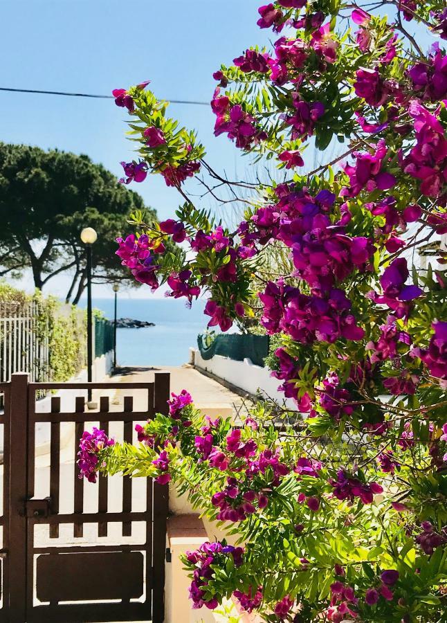 Villa Ro Porto Columbu - Perd'E Sali ภายนอก รูปภาพ
